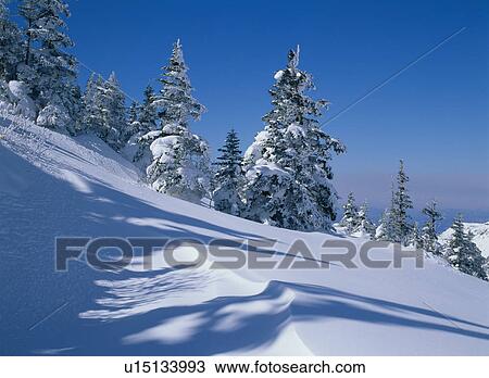 Snow-Covered Hill View Large Photo Image Stock Image - Snow-Covered Hill. Fotosearch