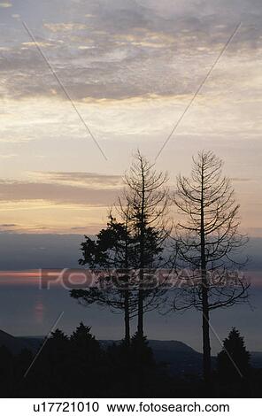 The Evening Glow In Germany View Large Photo Image Stock Image - The Evening Glow In Germany. Fotosearch