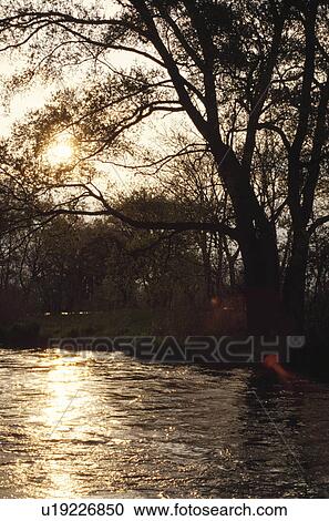 The Setting Sun And The River In Germany View Large Photo Image Stock Image - The Setting Sun And The River In Germany. Fotosearch