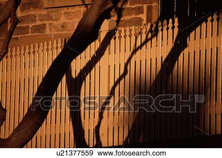 Tree Shadow On Fence View Large Photo Image Stock Photo - Tree Shadow On Fence. Fotosearch