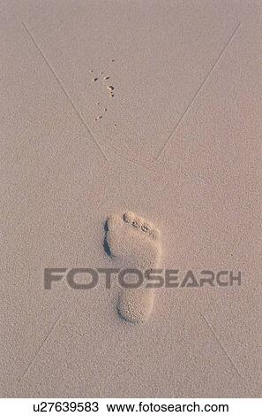 Stock Image - Footprint In Sand. Fotosearch