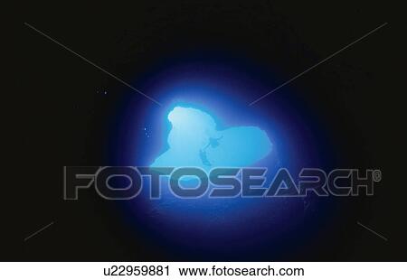 An Underwater Cave And A Diver View Large Photo Image Stock Image - An Underwater Cave And A Diver. Fotosearch