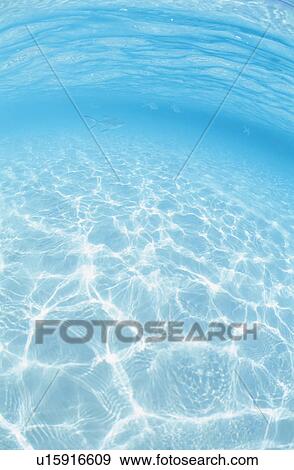 Fish View Large Photo Image Stock Photo - Fish. Fotosearch