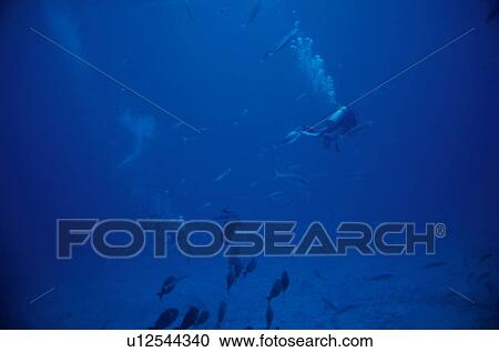 Stock Image - Scuba Diver. Fotosearch