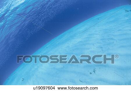Picture - The Submarine Desert Of A Track Lagoon Island. Fotosearch