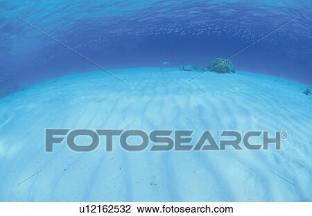 Stock Image - The Submarine Desert Of A Track Lagoon Island. Fotosearch