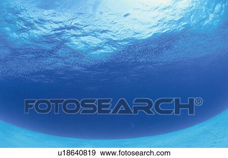 The Submarine Desert Of A Track Lagoon Island View Large Photo Image Stock Photo - The Submarine Desert Of A Track Lagoon Island. Fotosearch