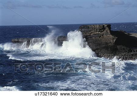 Stock Image - Reef. Fotosearch