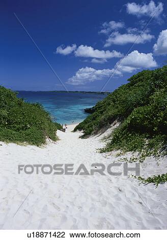 The Path Of White Sand And The Sea View Large Photo Image Stock Image - The Path Of White Sand And The Sea. Fotosearch