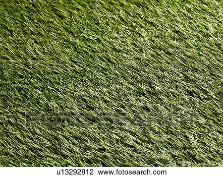 Grass View Large Photo Image Stock Image - Grass. Fotosearch