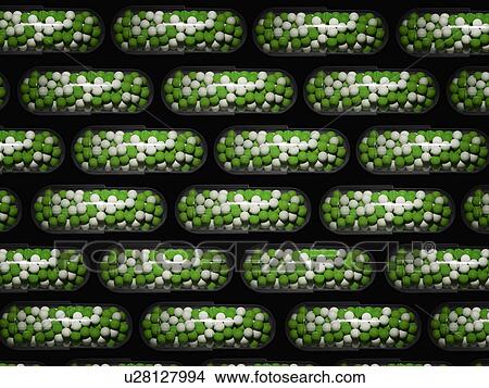 Picture - Green and White Capsules. Fotosearch