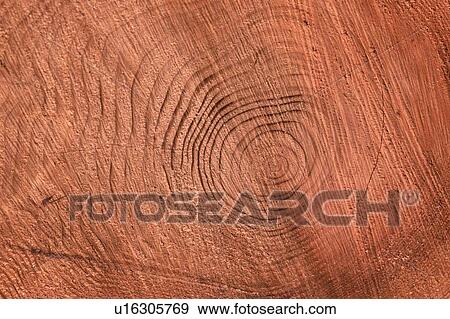 Stock Photo - Woodgrain. Fotosearch