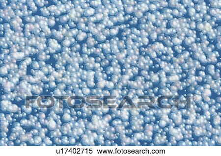 Blue Luster Abstract Image View Large Photo Image Stock Photography - Blue Luster Abstract Image. Fotosearch
