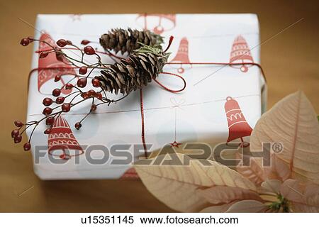 Christmas present and poinsettia (close-up) View Large Photo Image Stock Photography - Christmas present and poinsettia (close-up). Fotosearch
