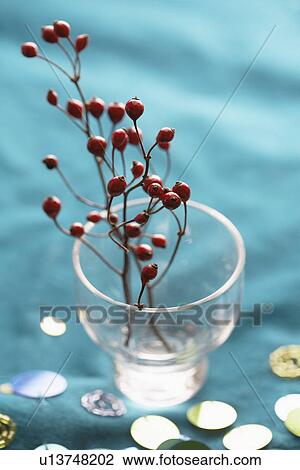 Decorative branch with berries in vase (close-up) View Large Photo Image Stock Image - Decorative branch with berries in vase (close-up). Fotosearch