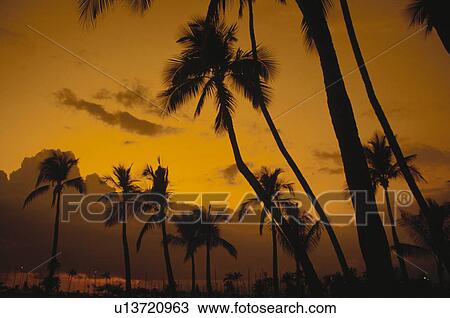 Stock Image - Evening Glow. Fotosearch