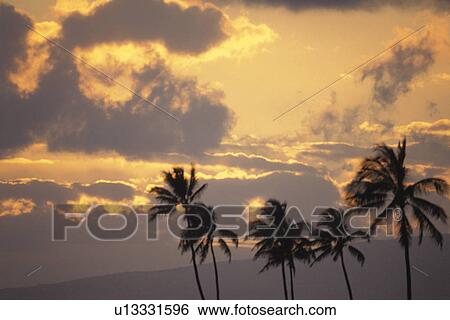 Stock Photograph - Evening Glow. Fotosearch