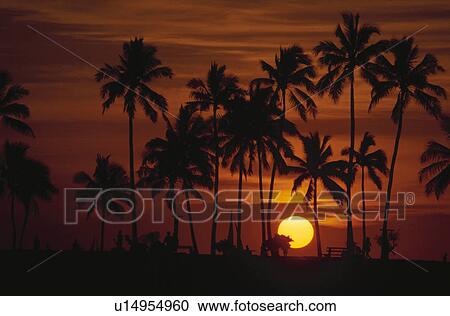 Setting Sun View Large Photo Image Stock Image - Setting Sun. Fotosearch