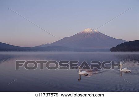 Stock Photo - Mt. Fuji And Lake Yamanaka. Fotosearch
