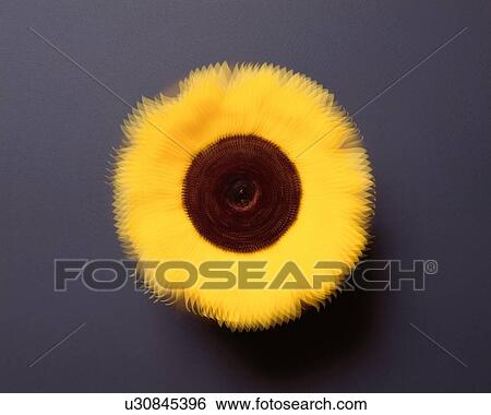 Stock Photograph - Blurry Sunflower. Fotosearch