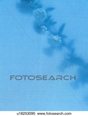 Branch Of Flowers In Blue View Large Photo Image Stock Image - Branch Of Flowers In Blue. Fotosearch