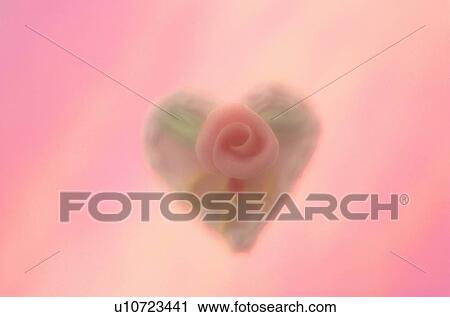 Stock Image - Heart Shaped Cake With Rose. Fotosearch