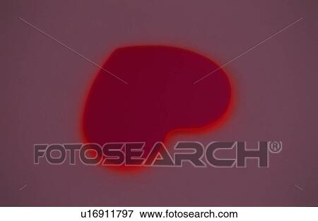 Stock Photo - Outlined Love Heart. Fotosearch