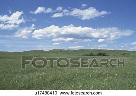 A Meadow And Clouds View Large Photo Image Stock Image - A Meadow And Clouds. Fotosearch