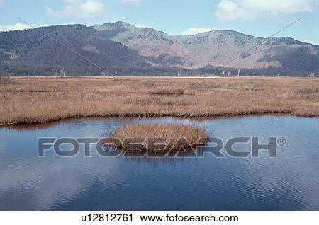 Stock Image - Pond Near Mountains. Fotosearch