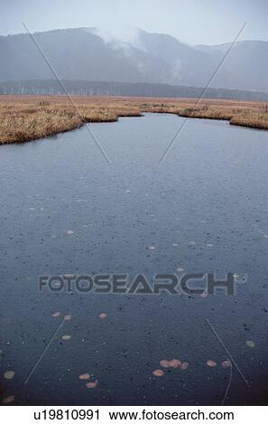 Stock Image - Pond Near Mountains. Fotosearch