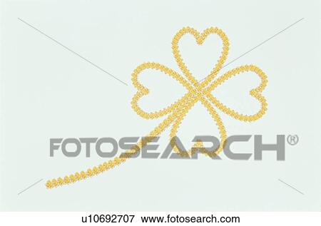 Four Leaves Made With The Yellow Rose View Large Photo Image Stock Photo - Four Leaves Made With The Yellow Rose. Fotosearch