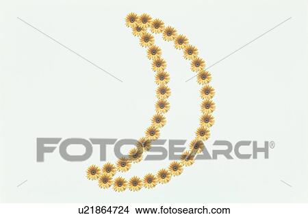 The Crescent Made With Yellow Gerbera View Large Photo Image Picture - The Crescent Made With Yellow Gerbera. Fotosearch