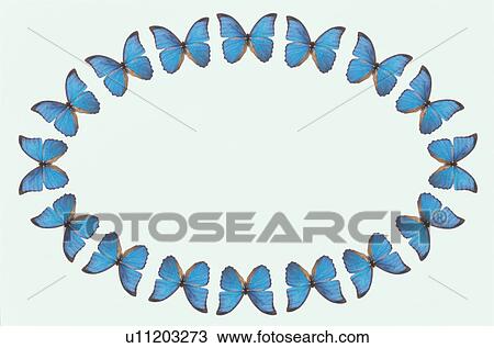 Stock Image - The Oval Frame Of A Butterfly. Fotosearch