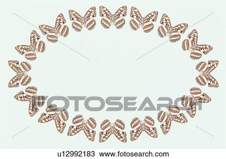 The Oval Frame Of A Butterfly View Large Photo Image Stock Image - The Oval Frame Of A Butterfly. Fotosearch