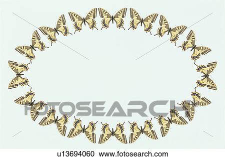 Stock Image - The Oval Frame Of A Butterfly. Fotosearch