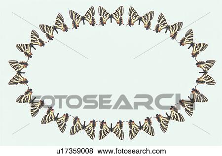 The Oval Frame Of A Butterfly View Large Photo Image Stock Photo - The Oval Frame Of A Butterfly. Fotosearch