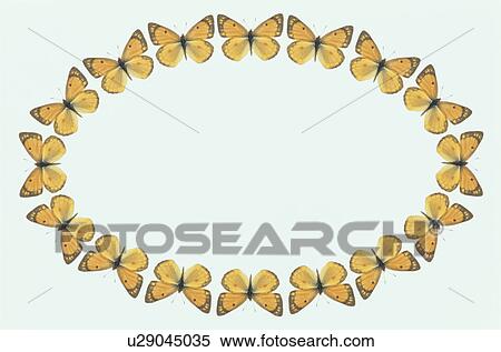 The Oval Frame Of A Butterfly View Large Photo Image Stock Photography - The Oval Frame Of A Butterfly. Fotosearch