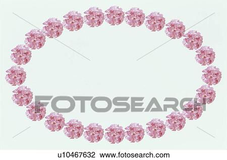 Stock Image - The Oval Frame Of A Pink Flower. Fotosearch