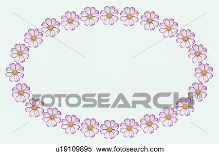 Stock Photography - The Oval Frame Of Cosmos. Fotosearch