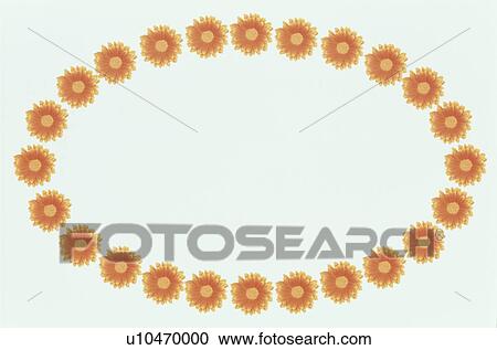 The Oval Frame Of Flower View Large Photo Image Stock Image - The Oval Frame Of Flower. Fotosearch
