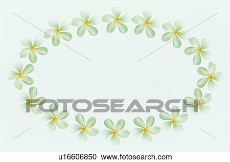 Stock Image - The Oval Frame Of Flower. Fotosearch
