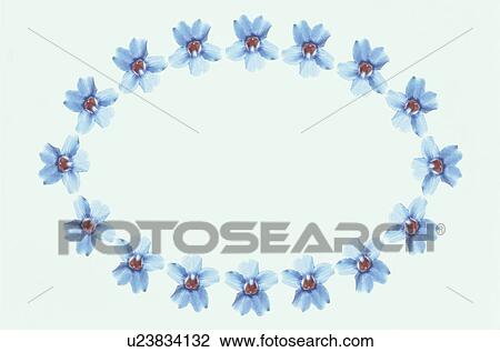 Stock Image - The Oval Frame Of Flower. Fotosearch