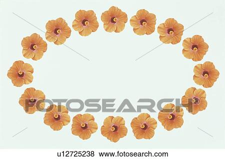 Stock Photo - The Oval Frame Of Flower. Fotosearch