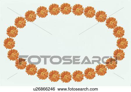 The Oval Frame Of Flower View Large Photo Image Stock Photograph - The Oval Frame Of Flower. Fotosearch