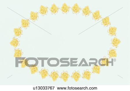 Stock Photo - The Oval Frame Of Yellow Rose. Fotosearch