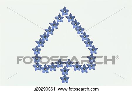 The Spade Made With The Light-Blue Chinese Bellflower View Large Photo Image Stock Image - The Spade Made With The Light-Blue Chinese Bellflower. Fotosearch