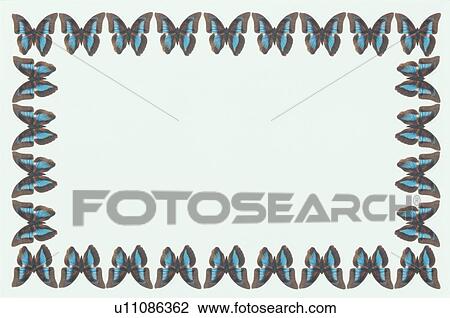 Stock Image - The Square Frame Of A Butterfly. Fotosearch