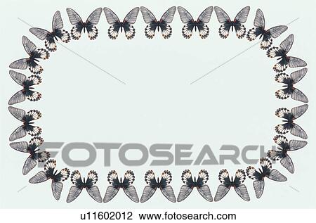 Stock Image - The Square Frame Of A Butterfly. Fotosearch