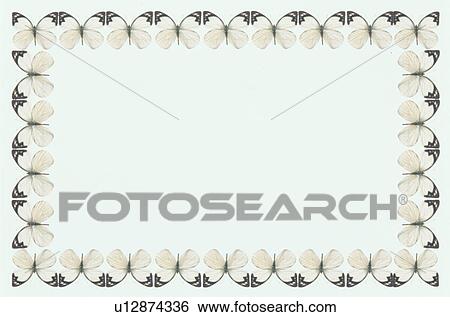 Stock Photograph - The Square Frame Of A Butterfly. Fotosearch