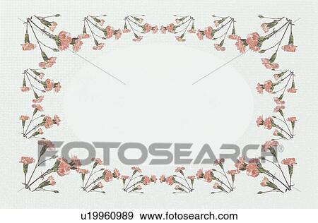 Stock Photo - The Square Frame Of A Carnation. Fotosearch